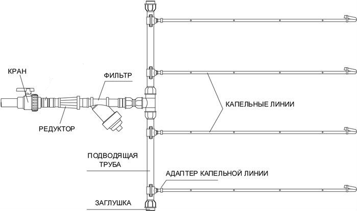 Схема полива Схема полива