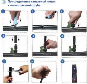 image_111-(1)